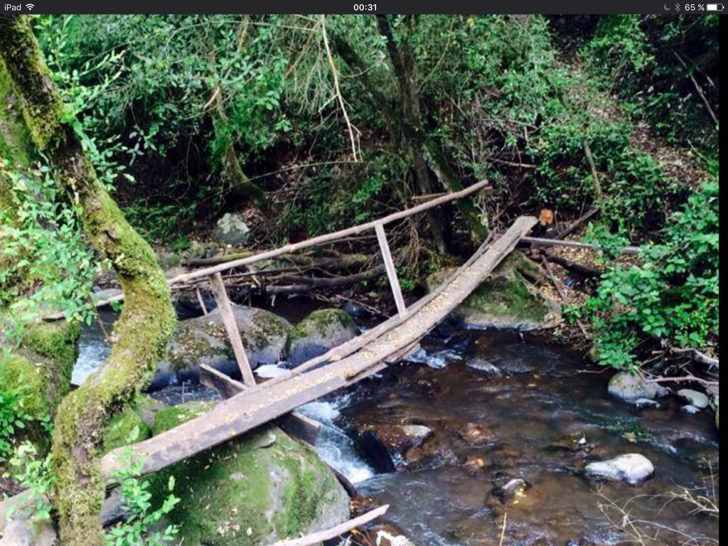 Cabanas Rahue Vilches Exteriér fotografie